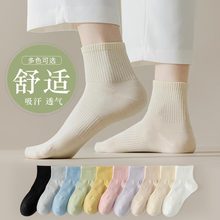 诸暨无骨短袜女棉袜春夏薄款短筒袜女士纯色透气抗起球袜子女袜