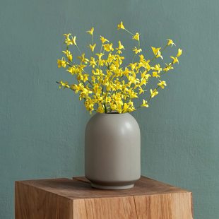 ӭ�����滨 �羳���������Sɫ�B�N���Ҿ�ܛ�b�bٻ�diy���h��֦