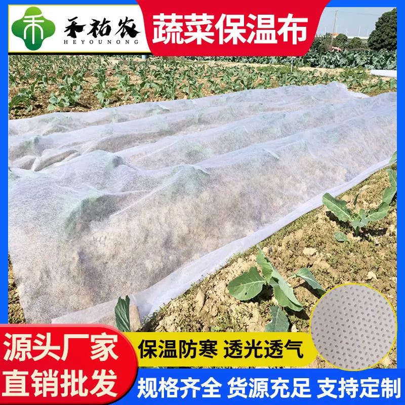 蔬菜保温布批发透光透气农用育秧无纺布秧苗布防冻防寒PP无纺布