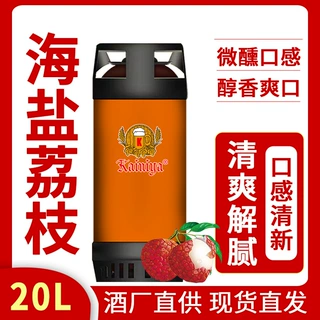 果味精酿啤酒代工贴牌oem海 盐荔枝百香果口味可定制厂家批发供应