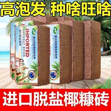 �S��ֱ�NҬ�u�o�}�o�x�N���N���B���Nֲͨ��Ҭ�u���I�BҬ����