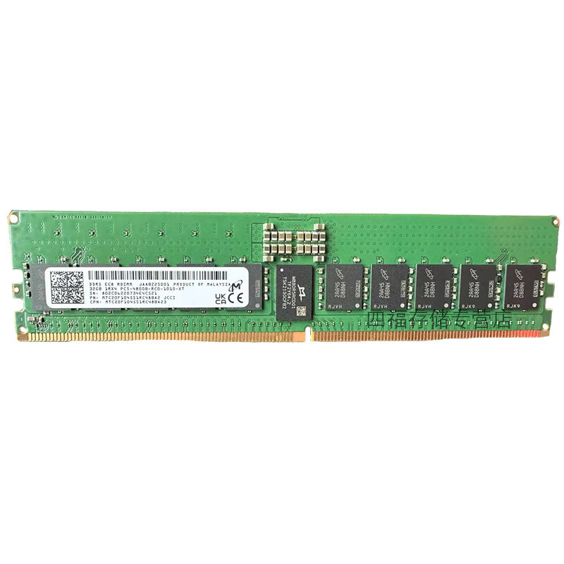 DDR5 ECC RDIMM REG RECC PC5 server memory module
