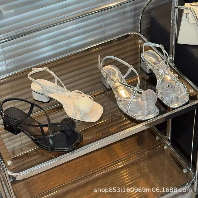 2025052015112395922022w750h750