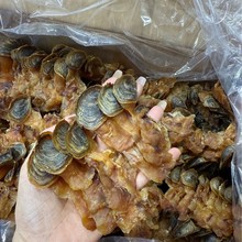 ������t�����Ƭ����ԭֻ���500g���a��؛��Ɏ����U�~�Ҝ����a