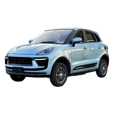 for Elderly: Diàndòngchē Auto Parts and Accessories