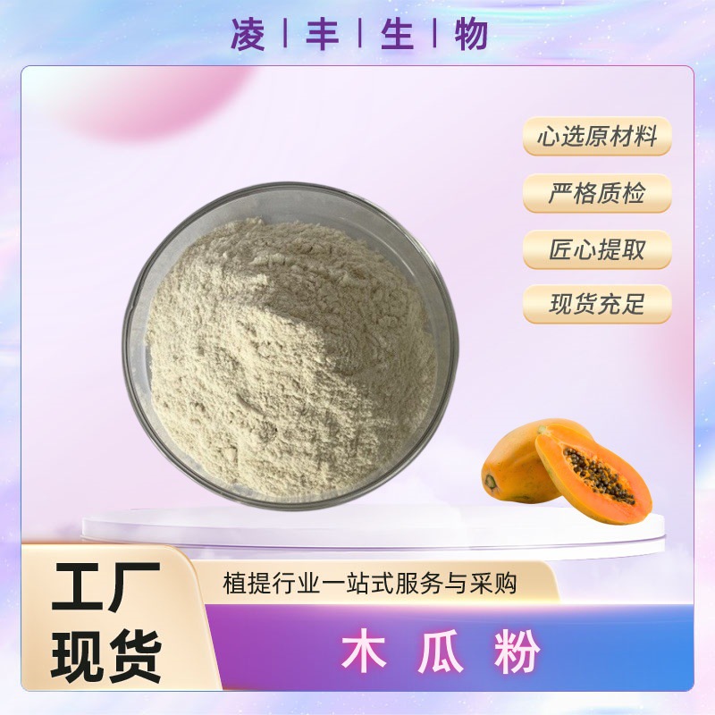 木瓜粉  木瓜提取物 木瓜胶原蛋白粉 厂家现货 另有各种果蔬粉