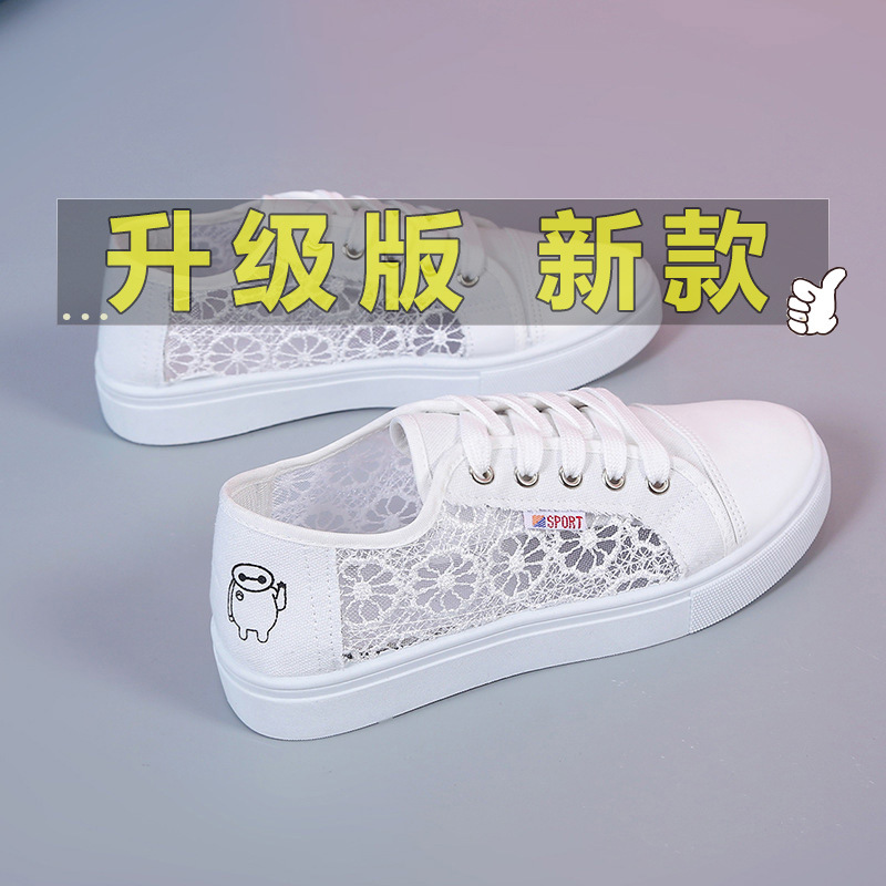 레이스 화이트-화이트