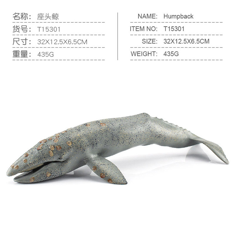 Whale-435g jorobada PL127-1072