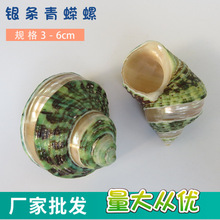 【青螺】_青螺品牌/图片/价格_青螺批发_阿里巴巴