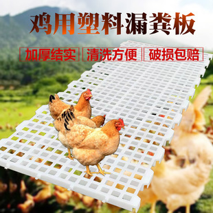 Thickened Plastic Dung Leakage Board for Chicken Dung Leakage Board for Poultry Pigeon Duck Goose Plastic Dung Leakage Board for Chicken House Farm Dung Leakage Mesh Board