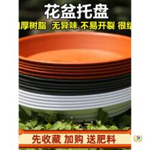 �����бP�Ӻ������ˮ�������ψA�ζ���|���ϱP��ɫ���л��P�ױP