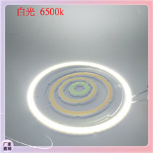 ✅cob光源 天使眼光圈 LED灯珠 12V 汽车大头灯 圆形 25mm到120mm