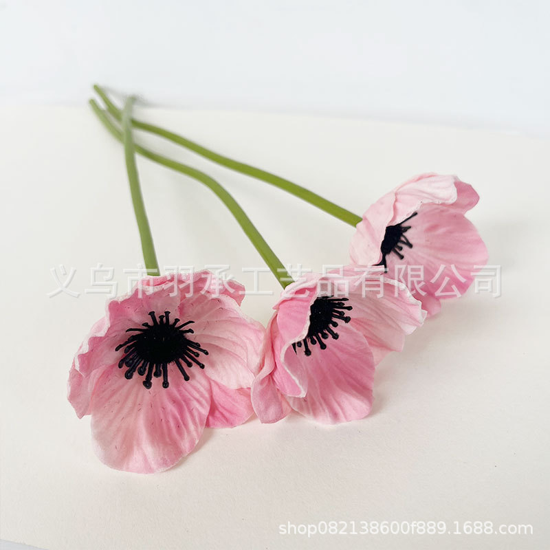 분홍색