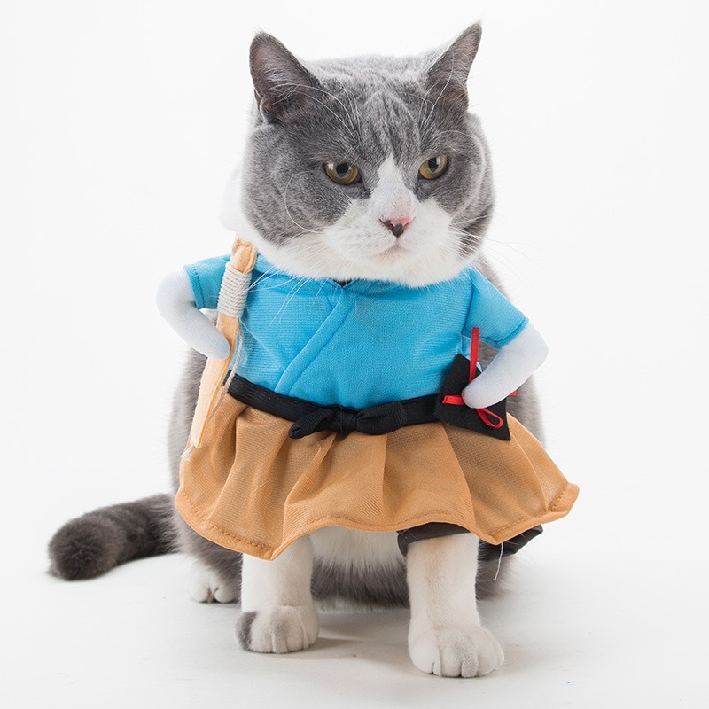 犬と猫の面白い服、面白いナイフを手にしたサモエド、かわいいビションフリーゼ、クリエイティブなペットのテディ、ファイティングドッグパロディー|undefined