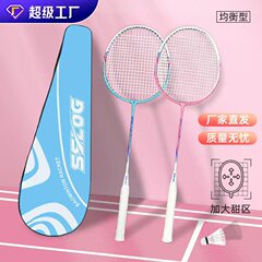 赛狮龙羽毛球拍初学者小学生铁合金耐打羽毛球球拍一对男女通用