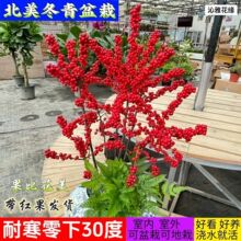 �M�ڱ��������Ϙ����������^���t���҃�ͥԺֲ���ͺ��͟�Gֲ����