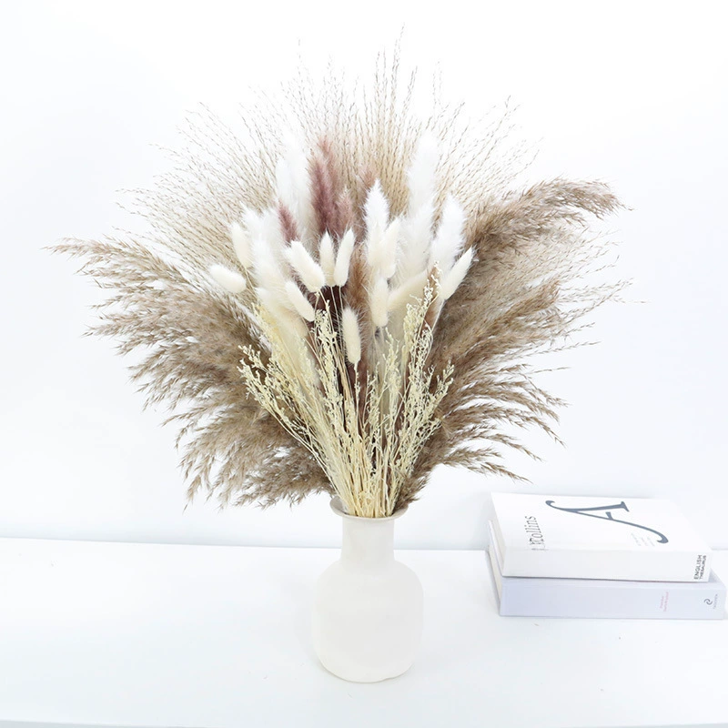 Organic set, wholesale, high-quality style
