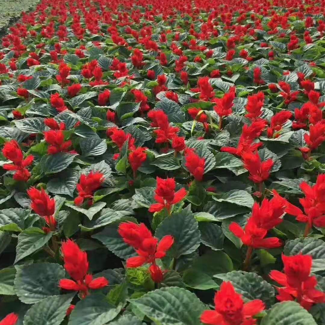 2024-03-26 22:07:29.jpg