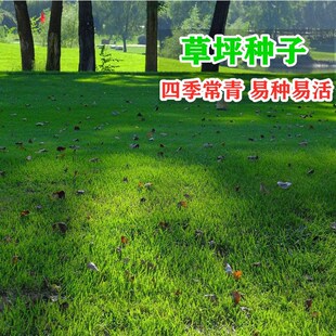 ����̲�ƺ���ѿ����������G���ļ�����ͥԺ�e���Ͱ����`̤�ݷN��