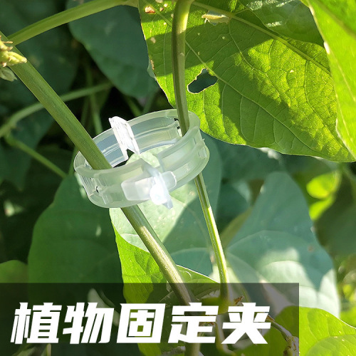 植物固定夹菜园蔬菜瓜果西红柿藤蔓固定器园艺绿萝吊秧夹子批发