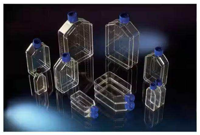 赛默飞NUNC 178905 培养瓶 过滤盖 80cm2