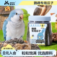 宠尚天鹦鹉零食油葵小瓜子黑珍珠瓜籽虎皮牡丹玄凤小太阳鸟粮食物