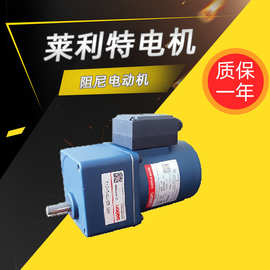 莱利特调速电机90-120W全铜线圈阻尼电动机小型220v380v厂家直供