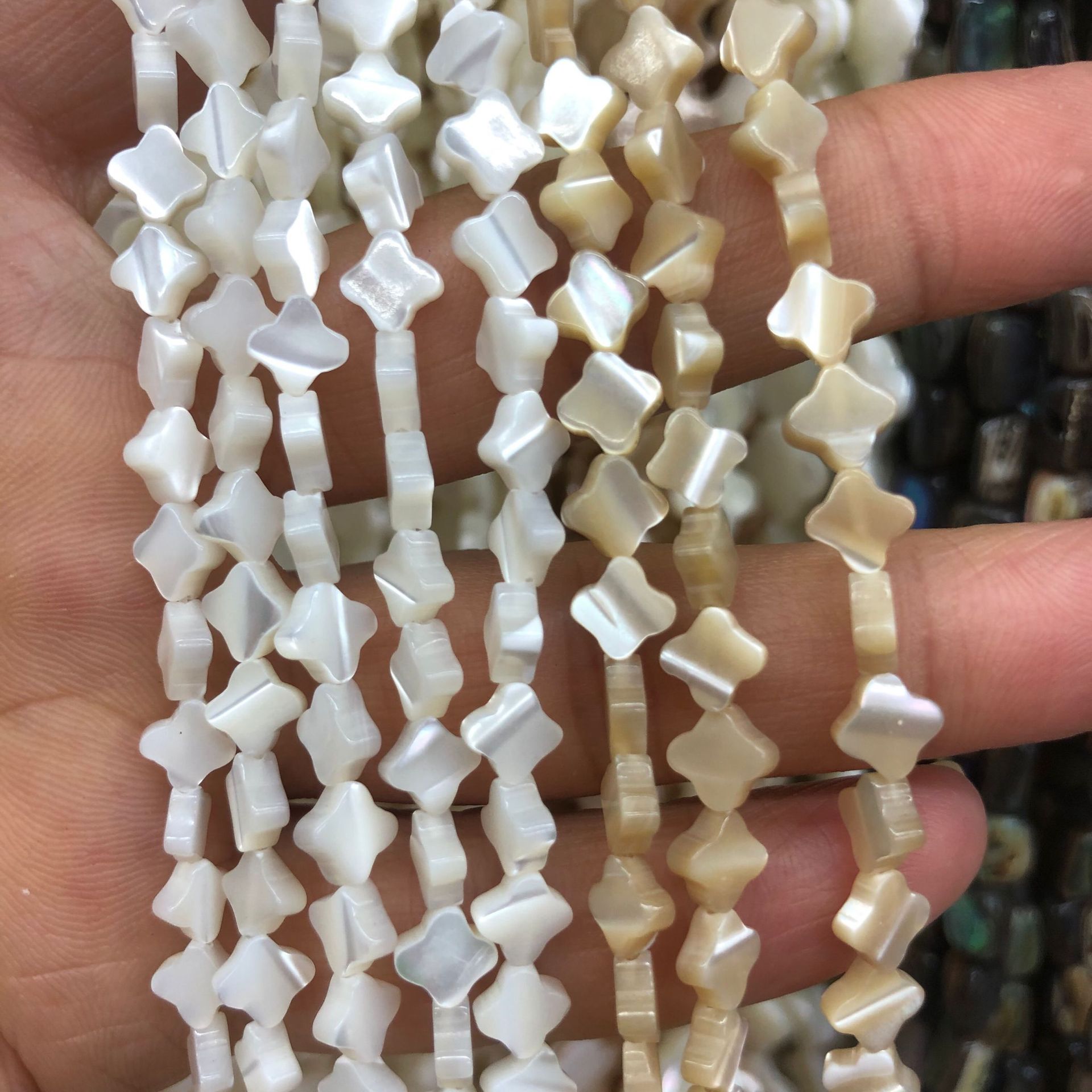 【马蹄螺】梅花四边形