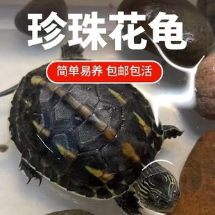 ���������������A������С������ˮ��ˮ��̨���������������A����