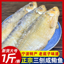 ���������~�ό����خa�����}���~500g�����~���������ԕ��r��؛