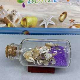 源头工厂 带底座的贝壳许愿瓶 天然海螺贝壳海沙漂流瓶旅游纪念品
