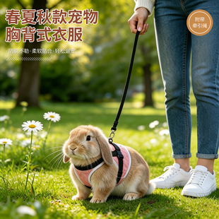 ������޹��K����ʽ���{���ر���̩�Ͽ»�������Ȯ�Y�����������K