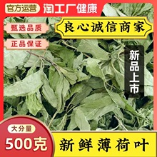 �����~500�˴��~�ɸɲ�ș�o��Ƽɢ�b�n���ӽ������r��؛