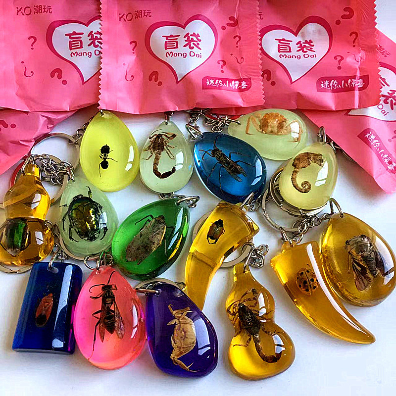 昆虫琥珀标本蝎子螃蟹蝉虫珀原石探索小学课本儿童礼物书包钥匙扣