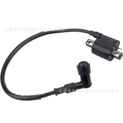 Ignition Coil, Alovlanma bobini (Babinalar)