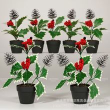 �S��ֱ�I�}�Q��羳�Gֲ���滨���h�bt�{���}�Q���[������