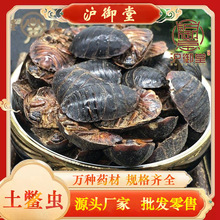 ���l��ș�� ��Ԫ ���M�x ���M�x��؛�a��؛Դ