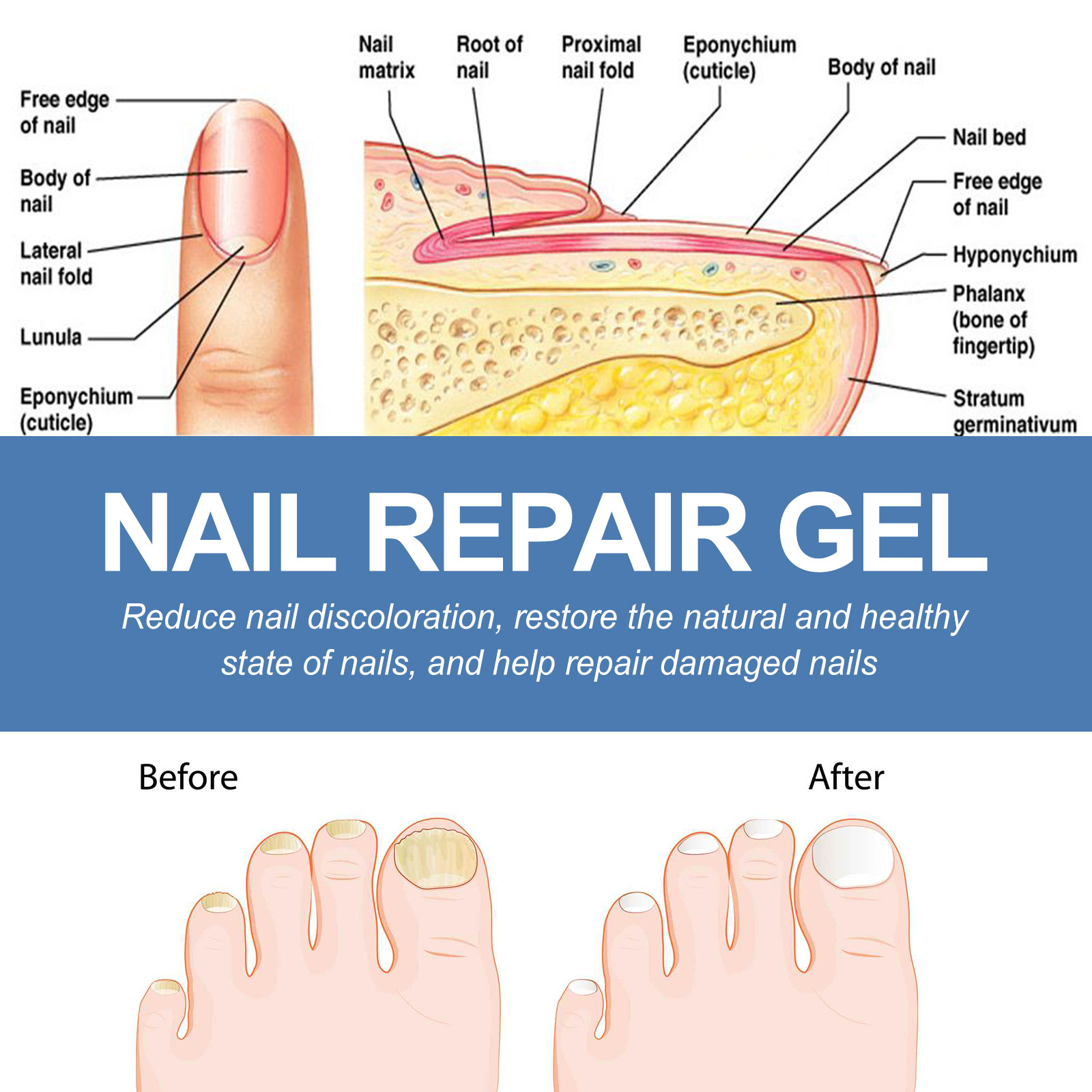 Nail Care Gel Image 6