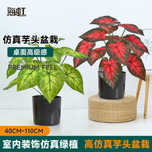 ���ް��]����Gֲ�쾰�������ˮ��ϲ����͏d���Ԕ[����ֲ��