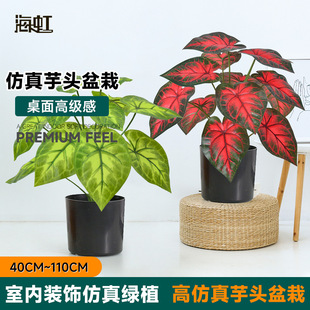 ���ް��]����Gֲ�쾰�������ˮ��ϲ����͏d���Ԕ[����ֲ��