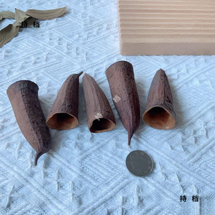 �M���Ĕz���߸ɹ��U��ֲ����¡���b[������쾰ؐ���˱�������