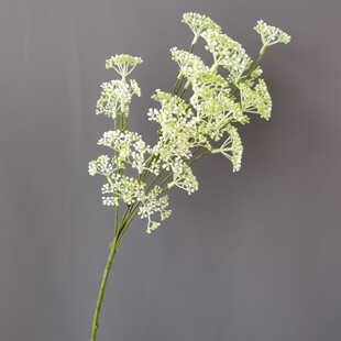 ���ѹ����ӹ��״�������֦�廨�Oˇ�ҾӘӰ��g�Ƶ��c�}�Q�b�