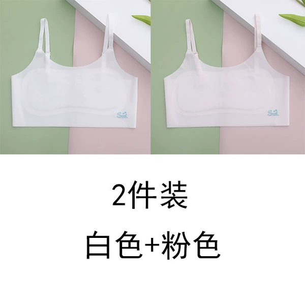 White powder [2 pieces]