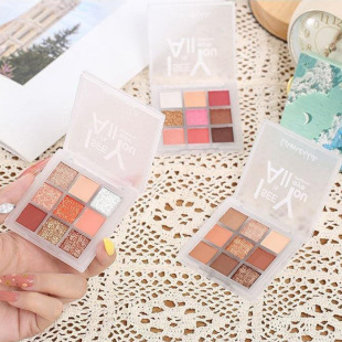 Wholesale la Meila 9-Color Magic color Pearl matte eye shadow plate combination earth color smoky color 7.2g