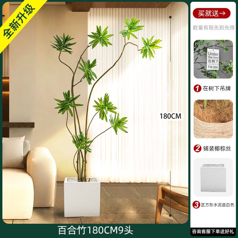 [W Ruyi Bamboo] Chậu vuông thẳng 180CM9