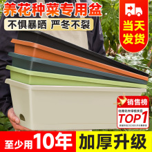 长方形花盆阳台种菜长条盆蔬菜种植专用箱网红懒人盆栽塑料盆批发