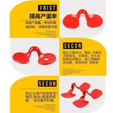 带孔鸡眼镜给鸡戴的公鸡眼睛山鸡防啄打架小鸡养鸡用无栓中大号。