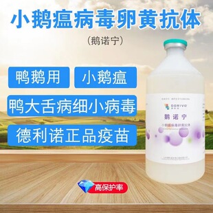 С�Z�����w���SС�Z�����S�����Z����С�Z�����w����500ml�Zș