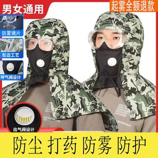 Dust Mask Full Face Pesticide Protective Mask Dust Mask Full Face Pesticide Protective Dust Cap Dust Mask