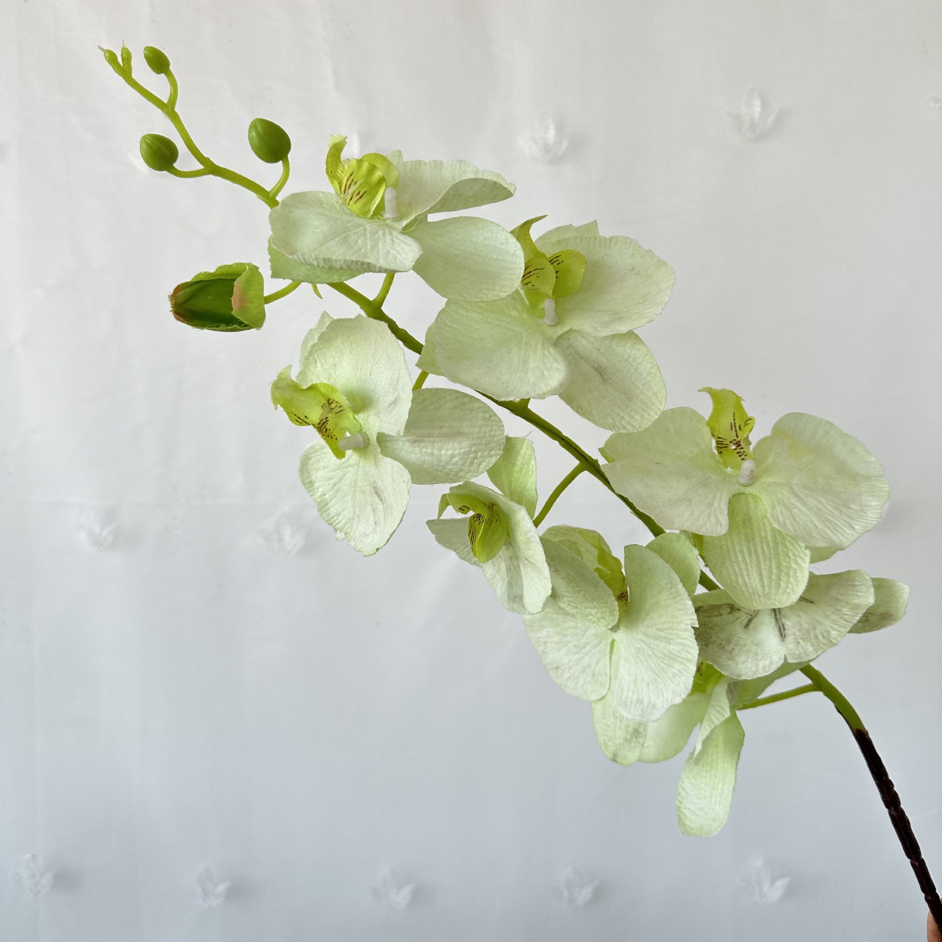 Los fabricantes suministran flores secas simuladas en la sala de estar, flores de jarrón, tela de pelo de ocho cabezas, plantas de simulación de Phalaenopsis, adornos de flores secas